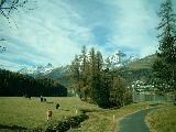 Sentiero alla Maierei verso il lago di St.Moritz