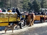 Partenza carrozze a cavalli per la Val Roseg