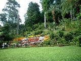 Giardini di Villa Carlotta